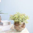 Kit Com 2 Arranjos Formosinha | Orquídea Artificial Branca +